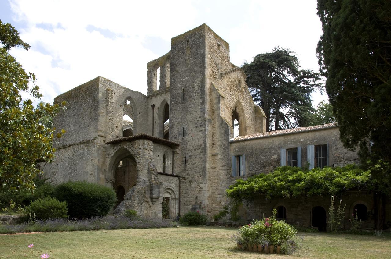 Abbaye De Villelongue Saint-Martin-le-Vieil Bagian luar foto